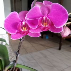 Meet your Posher, Aide